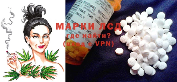 спиды Козловка